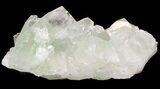 Zoned Apophyllite Crystal Cluster - India #44330-1